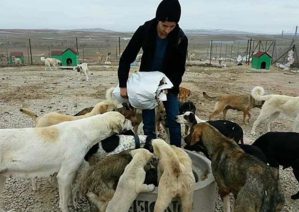 Umut Furkan Çakır Hayvan Sevgisi